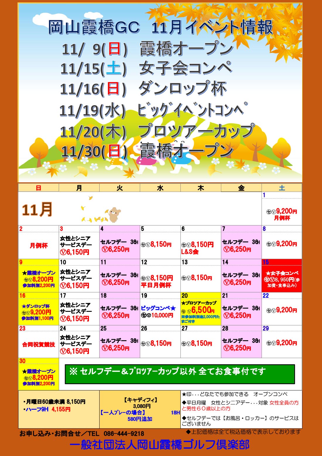 11月